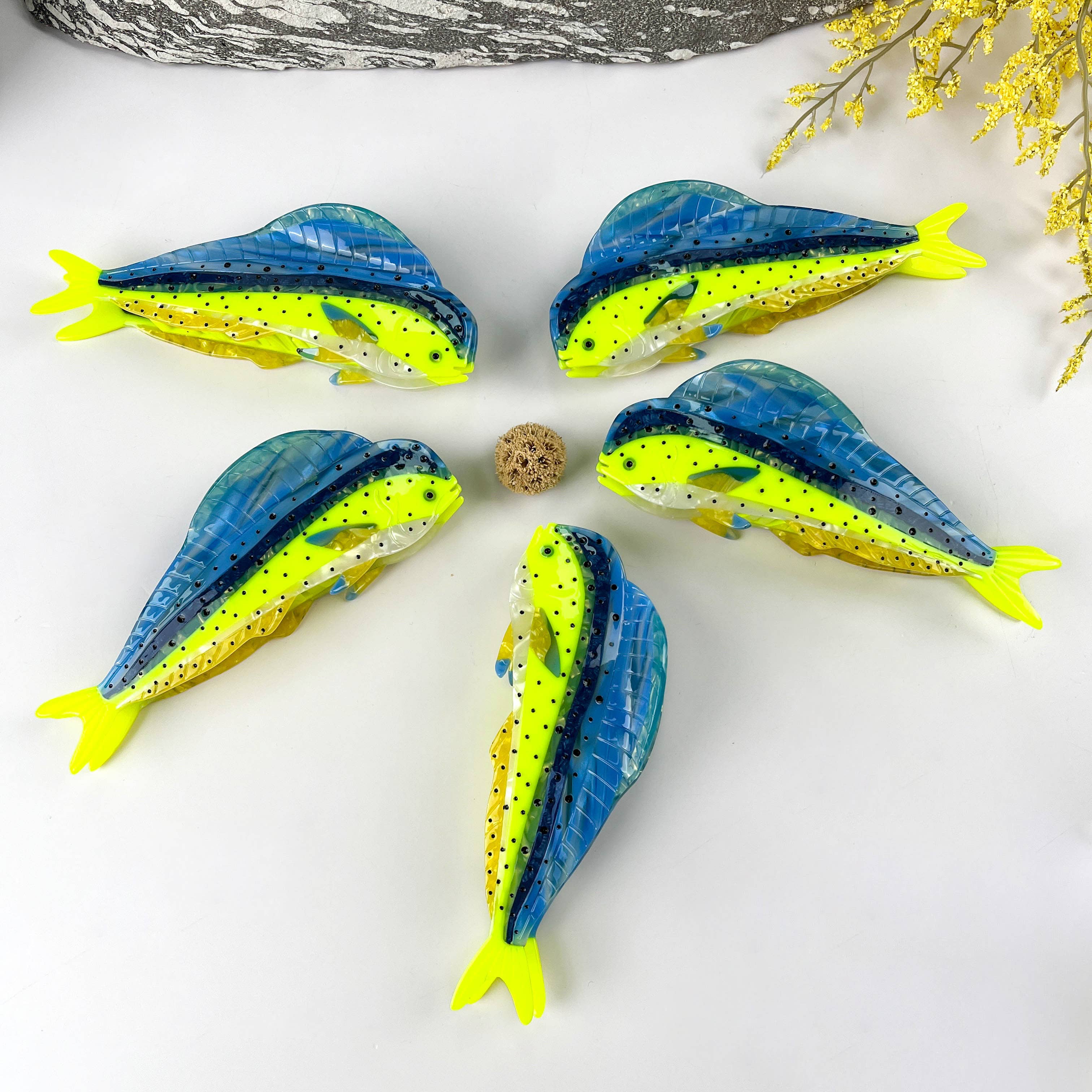 Mahi- mahi Dolphin