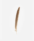 Gigi Pip Female Ringneck Hat Feather
Brown